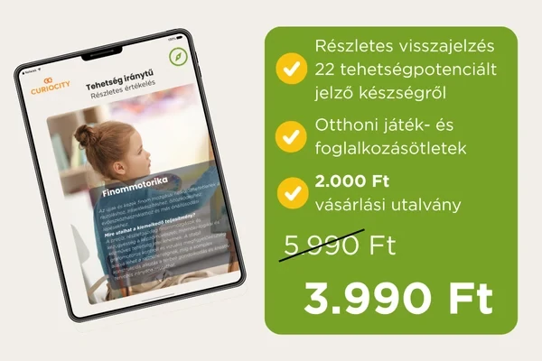 CURIOCITY Tehetség Iránytű: Részletes értékelés