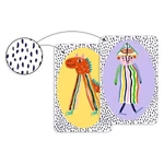 Kép 3/5 - Gyorsasági kártyajáték - Speedy Crazy - Djeco